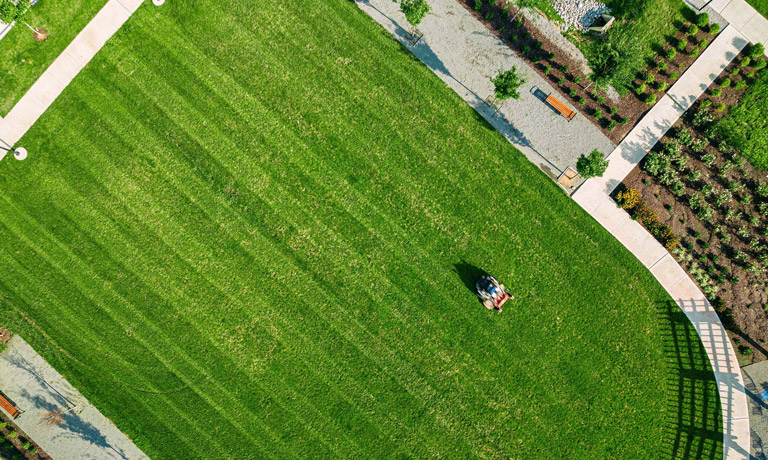 Exterior landscaping of a commercial building