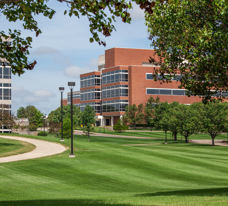 Professionally maintained green lawn and landscape among highrise buildings